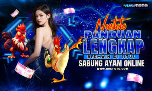 Panduan Lengkap Bermain Di Situs Sabung Ayam Online