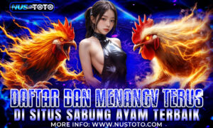 Daftar Dan Menang Terus Di Situs Sabung Ayam Terbaik