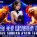 NUSTOTO Daftar Dan Menang Terus Di Situs Sabung Ayam Terbaik