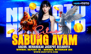 NUSTOTO Situs Sabung Ayam Gacor Menangkan Jackpot Besarnya