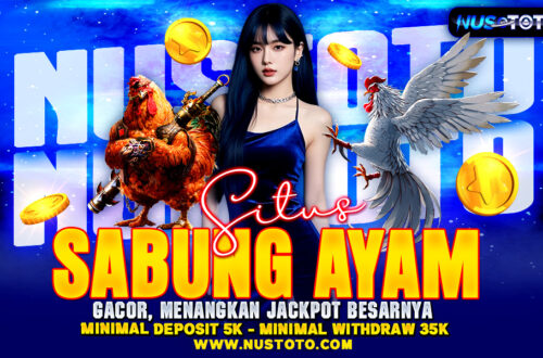 NUSTOTO Situs Sabung Ayam Gacor, Menangkan Jackpot Besarnya